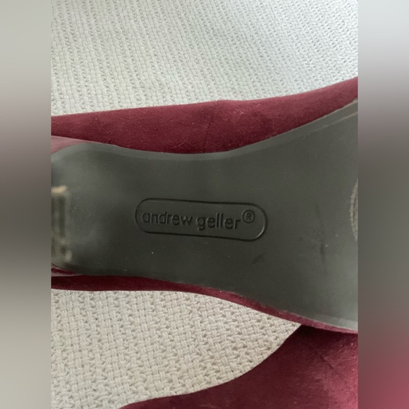 Andrew Geller Red Velvet Heels with Stiletto - Picture 4 of 7